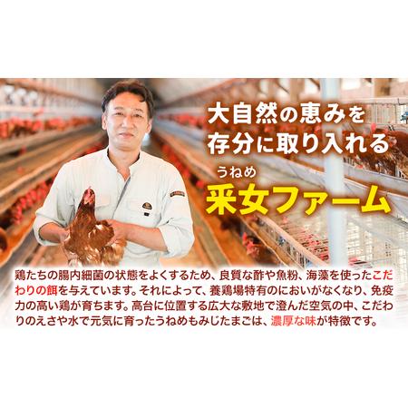 ふるさと納税 うねめもみじ滅多に無いごとマヨネーズ仕掛ける 卵 マヨネーズ 岡山県笠岡市