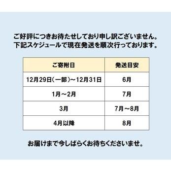 ふるさと納税 FM030_【大好評につき最大半年待ち】佐賀牛入り熟成生ハンバーグ　20個（120g×20個) 佐賀県みやき町｜furunavi｜03