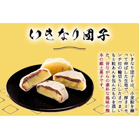 ふるさと納税 めぐみ工房 いきなり団子 10個 つぶあん こしあん 白あん 《60日以内に出荷予定(土日祝除く)》熊本県 葦北郡 津奈木町 お菓子 ス.. 熊本県津奈木町｜furunavi｜03