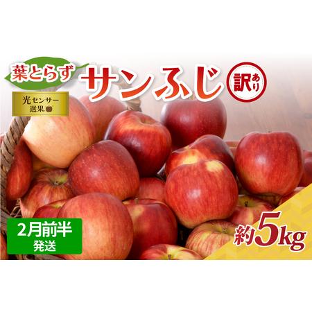 ふるさと納税 りんご 約5kg [2026年2月前半発送][訳あり]葉とらずサンふじ 青森県産 サンふじ 青森県五所川原市