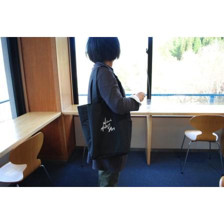 ふるさと納税 新見美術館 オリジナルトートバッグ（Mサイズ） 図録「華麗なる日本画コレクション名品選」 岡山県新見市の画像