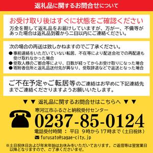 ふるさと納税 《冷やりとした便送りとどける》 澤正宗 吟醸生酒 300ml × 6本 仕かける 0210-E-FR003 円錐小体県寒河江市