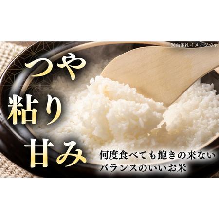 ふるさと納税 【25年7月下旬発送!】【特A】一等米 さくら米（ななつぼし）10kg《厚真町》【とまこまい広域農業協同組合】ななつぼし ななつぼし .. 北海道厚真町