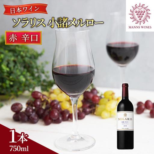 ふるさと納税 赤ワイン ソラリス 小諸メルロー 750ml1本 赤ワイン 長野県小諸市