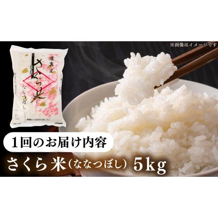 ふるさと納税 【全12回定期便】【特A】一等米 さくら米（ななつぼし）5kg《厚真町》【とまこまい広域農業協同組合】お米 お米 お米 お米 お米 お.. 北海道厚真町