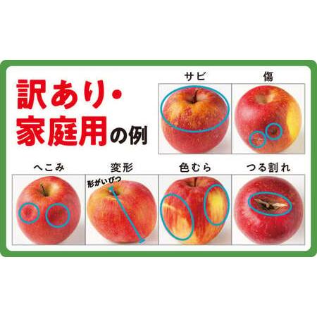 ふるさと納税 りんご 5Kg 【令和6年先行予約 】 果物 訳あり 秋映 長野 感謝りんご 交換保証 不揃い 規格外 傷あり ５キロ (１２から２５玉)  R6.. 長野県飯綱町｜furunavi｜03