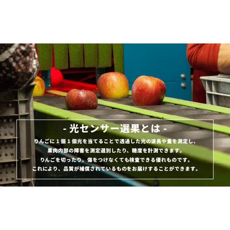 ふるさと納税 りんご 5Kg 【令和6年先行予約 】 果物 訳あり 秋映 長野 感謝りんご 交換保証 不揃い 規格外 傷あり ５キロ (１２から２５玉)  R6.. 長野県飯綱町｜furunavi｜04