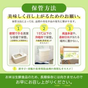ふるさと納税 【累計25万件以上出荷】訳あり 令和7年産 ふくきらり