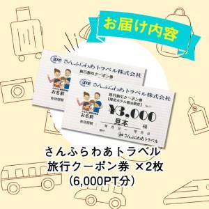 ふるさと納税 b0-137 さんふらわあトラベル（STC）旅行クーポン券＜6000PT分＞ 鹿児島県志布志市 