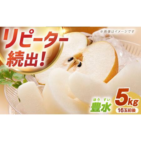 ふるさと納税 [2026先行予約]梨(豊水)約5kg [EBY002] 梨 長崎県長与町