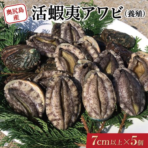 ふるさと納税 奥尻島産 活蝦夷アワビ(養殖)5個入り 70mm以上 北海道奥尻町