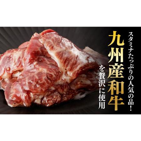 ふるさと納税 【全3回定期便】【塩だれ】九州産和牛ハラミ 2.5kg（250g×10袋）長与町/岩永ホルモン [EAX089] 国産 焼肉 小分け サガリ 味付.. 長崎県長与町_1