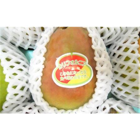 ふるさと納税 西洋梨（カリフォルニア）３ｋｇ　ご家庭用　0017-2614 山形県上山市_1