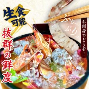 ふるさと納税 車海老【久米総合開発】活き〆急速冷凍 久米島ブランド車海老 大サイズ 500g  車えび 海鮮 沖縄県久米島町_1