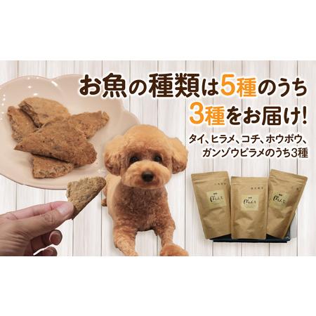 ふるさと納税 100%お魚で作ったペットフード「ぽわんこ」・K209-22 愛知県西尾市 |  | 03