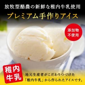 ふるさと納税 【業務用】稚内牛乳アイスクリーム2000ml宗谷の塩×宗谷の塩2個セット【配送不可地域：離島・沖縄県】 北海道稚内市_1