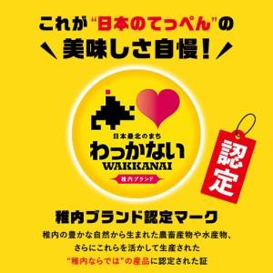 ふるさと納税 【業務用】稚内牛乳アイスクリーム2000ml宗谷の塩×宗谷の塩2個セット【配送不可地域：離島・沖縄県】 北海道稚内市_2
