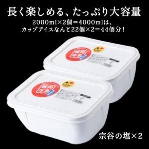 ふるさと納税 【業務用】稚内牛乳アイスクリーム2000ml宗谷の塩×宗谷の塩2個セット【配送不可地域：離島・沖縄県】 北海道稚内市_3