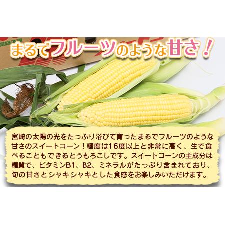 ふるさと納税 予約受付 23年5月下旬 6月上旬迄に順次出荷 スイートコーン 宮崎県国富町 宮崎県産 約4 5kg 2箱 約9kg 決算特価商品 宮崎県産