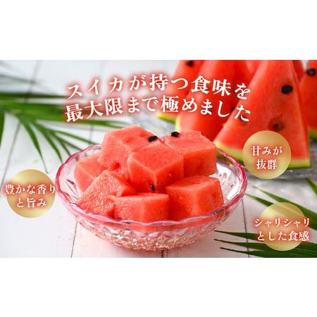 ふるさと納税 【先行予約】大玉すいか『祭ばやし』 1玉（7〜8kg