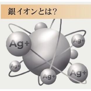 ふるさと納税 日本製 銀イオンシート入り (Ag＋) 敷きパッド セミダブル ベージュ GFP-22SWBE [2713] 大阪府泉大津市_2