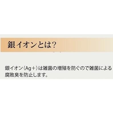 ふるさと納税 日本製 銀イオンシート入り (Ag＋) 敷きパッド セミダブル ベージュ GFP-22SWBE [2713] 大阪府泉大津市_3