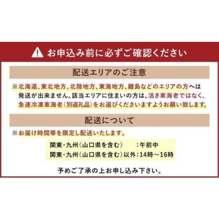 ふるさと納税 【11月上旬〜順次発送予定】熊本県産 活き 車海老 約600g(20〜30尾程度)エビ えび 活き海老 熊本県宇城市|furunavi|02