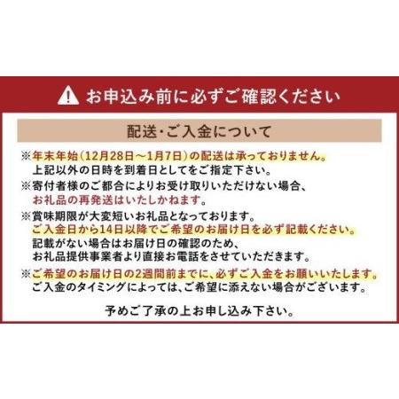ふるさと納税 【11月上旬〜順次発送予定】熊本県産 活き 車海老 約600g(20〜30尾程度)エビ えび 活き海老 熊本県宇城市|furunavi|03