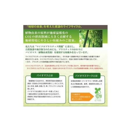 ふるさと納税　環境にやさしい　竹バイオマス　50本　超先細毛　歯ブラシ　福岡県遠賀町