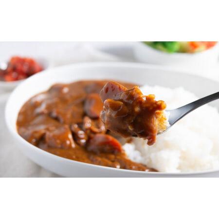 ふるさと納税 レトルトよこすか米国海軍カレー牛肉 200g×40個 [AKDZ001] カレー 神奈川県横須賀市