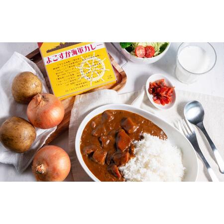 ふるさと納税 レトルトよこすか米国海軍カレー牛肉 200g×40個 [AKDZ001] カレー 神奈川県横須賀市