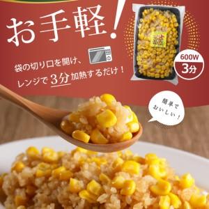 ふるさと納税 レストラン Hiro オリジナル ハンバーグ 160g × 3個 コーン 炒飯 200g × 3個 セット 手作り 十勝産 牛肉 豚肉 合いびき.. 北海道芽室町_2