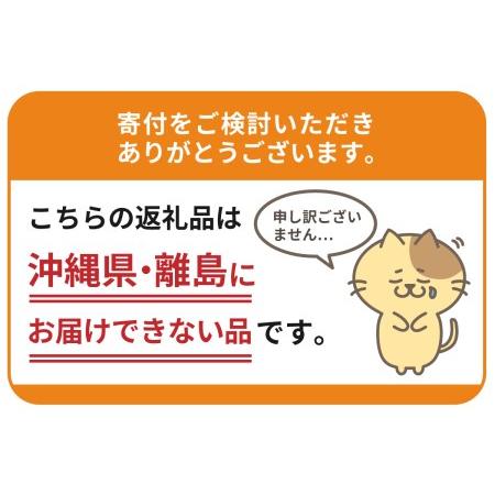 ふるさと納税 レストラン Hiro オリジナル ハンバーグ 160g × 3個 コーン 炒飯 200g × 3個 セット 手作り 十勝産 牛肉 豚肉 合いびき.. 北海道芽室町_4
