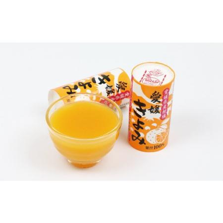 ふるさと納税 みかん ジュース きよみ 100％ 125ml ×30本 愛工房 みかんジュース 100%ジュース 果汁100% 果汁 飲料 柑橘 清見 蜜柑 小分.. 愛媛県宇和島市｜furunavi｜02