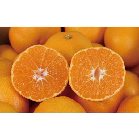 ふるさと納税 愛媛みかん 早生温州 7kg 家庭用 大小混合 南四国ファーム mikan みかん 不揃い 早生 温州 温州みかん 愛媛ミカン 愛媛蜜柑 果物.. 愛媛県宇和島市_2