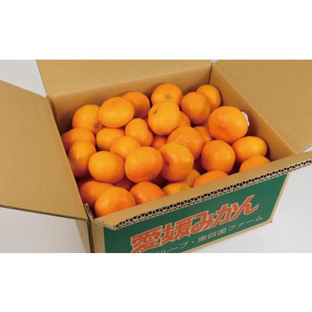 ふるさと納税 愛媛みかん 早生温州 7kg 家庭用 大小混合 南四国ファーム mikan みかん 不揃い 早生 温州 温州みかん 愛媛ミカン 愛媛蜜柑 果物.. 愛媛県宇和島市_3