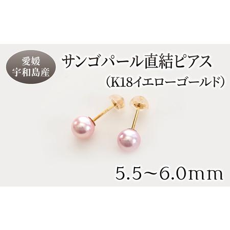 ふるさと納税 サンゴ パール 直結 ピアス 5.5-6.0mm イエローゴールド 松本真珠 ピアス A170-068007 愛媛県宇和島市