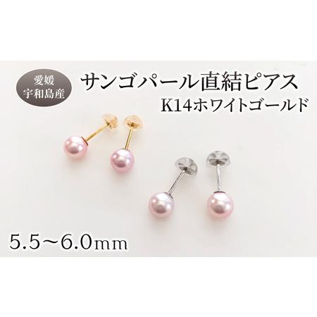 ふるさと納税 サンゴ パール 直結 ピアス 5.5-6.0mm ホワイトゴールド 松本真珠 ピアス A170-068008 愛媛県宇和島市