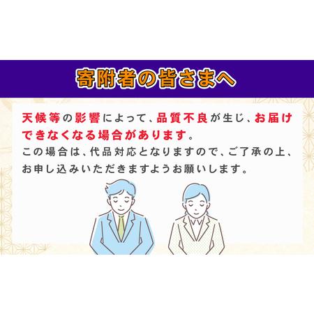 ふるさと納税 愛媛 みかん 興津 早生 4kg 家庭用 ハウス栽培 ハマみかん 温州みかん  果物 フルーツ 柑橘 蜜柑 農家直送 産地直送 数量限定 国.. 愛媛県宇和島市｜furunavi｜05