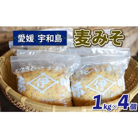 ふるさと納税 味噌 麦みそ4kg 井伊商店 味噌味噌味噌味噌 J010 ふるさと納税 味噌 麦みそ4kg 井伊商店 味噌味噌味噌味噌 J010