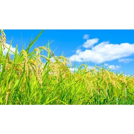 匿名配送 ふるさと納税 【つや姫 定期便12か月連続お届け】つや姫 雲南市プレミアムつや姫たたら焔米4kg（2kg×2袋）お米定期便1年 島根県雲南市 【FK1567558124】(55200円)