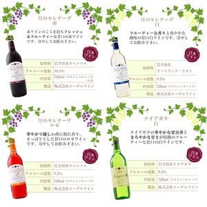 ふるさと納税 エーデルワイン あま味口当たりの方におすすめ12本仕かける 720ml×11本、360ml×1本 【1338】 岩手県花巻市