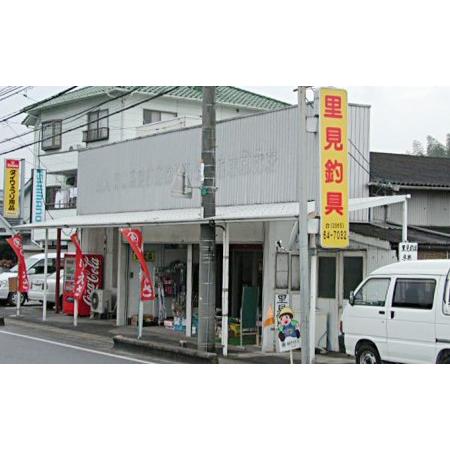 ふるさと納税 里見 サビキ 激渋（赤黒、6本針、5号-0.8号）21枚組＆鳴門タイプ（6本針、5号-0.8号）21枚組 計42枚組 釣具 岡山県里庄町 6本針 5号 8号 激渋 赤黒 里見サビキ 枝20cm 間60cm 幹糸1 全長3 　サビキ皮 下から