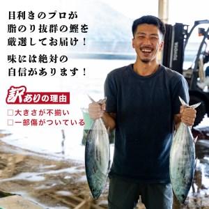 ふるさと納税 訳あり かつお たたき 2.3kg 10000円 訳あり カツオ サイズ 不揃い カツオ 訳あり カツオ 規格外 訳あり かつお 傷 訳あり カツオ .. 愛媛県愛南町｜furunavi｜02