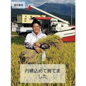 ふるさと納税 【令和8年産新米予約】【お米定期便/全６回】南魚沼産コシヒカリ　　白米５ｋｇ【定期便 銘柄米 ブランド米 精米 こしひかり コ.. 新潟県南魚沼市_3