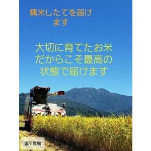 ふるさと納税 【令和8年産新米予約】【お米定期便/全６回】南魚沼産コシヒカリ　　白米５ｋｇ【定期便 銘柄米 ブランド米 精米 こしひかり コ.. 新潟県南魚沼市_4