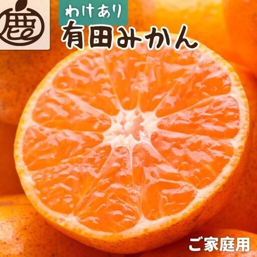ふるさと納税 家庭用 有田みかん(完熟)5kg+250g(傷み補償分)[わけあり・訳あり][光センサー選別][11月より順次発送予定][ikd007.. 和歌山県古座川町