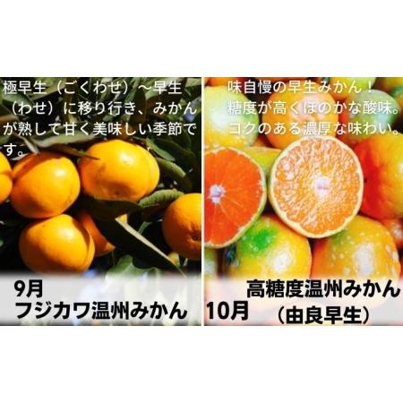 ふるさと納税 【9回頒布会】フジカワ果樹園オリジナル・新季節の柑橘セット 定期便 食べ比べ  香川県観音寺市_1