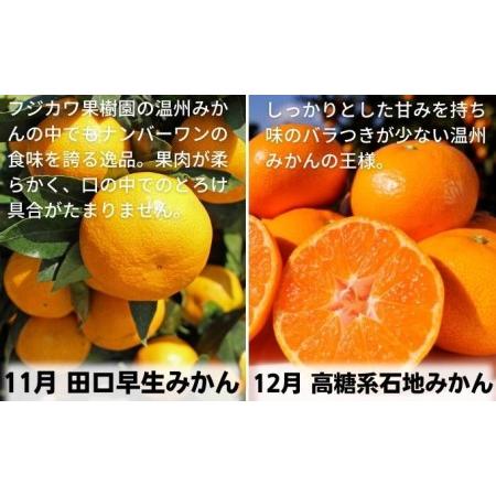ふるさと納税 【9回頒布会】フジカワ果樹園オリジナル・新季節の柑橘セット 定期便 食べ比べ  香川県観音寺市_2