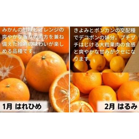 ふるさと納税 【9回頒布会】フジカワ果樹園オリジナル・新季節の柑橘セット 定期便 食べ比べ  香川県観音寺市_3
